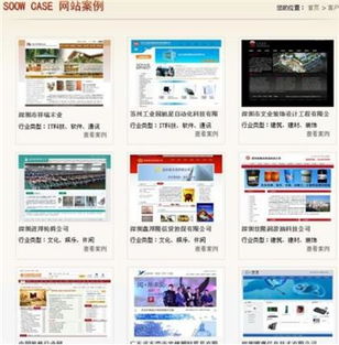 專業(yè)網(wǎng)站建設(shè) 設(shè)計(jì)、制作與選擇公司全指南